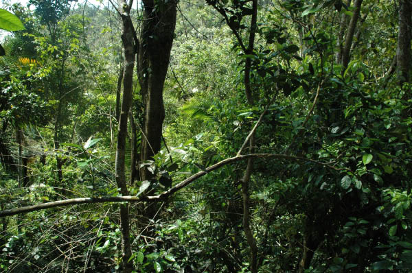Wanderung Sierra Maestra_067