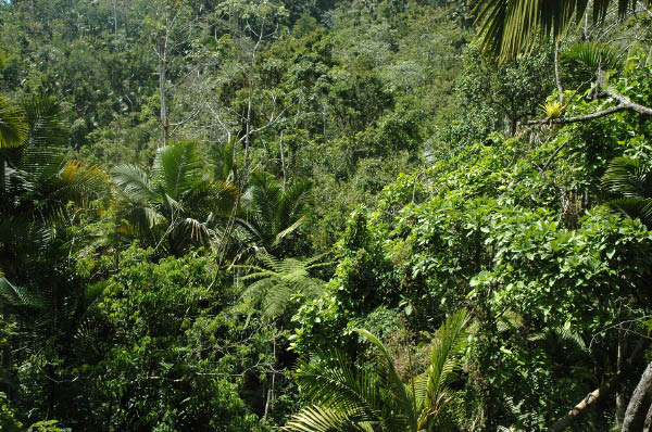 Wanderung Sierra Maestra_074