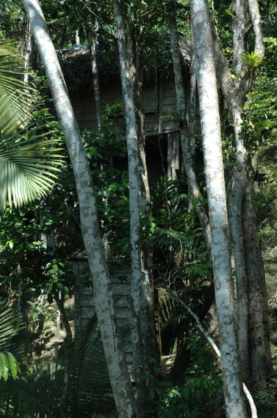 Wanderung Sierra Maestra_077