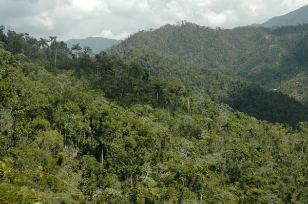 Wanderung Sierra Maestra_078