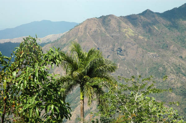 Wanderung Sierra Maestra_098