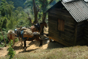 Wanderung Sierra Maestra_030