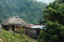 Wanderung Sierra Maestra_043