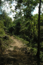 Wanderung Sierra Maestra_045