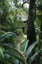 Wanderung Sierra Maestra_065