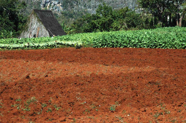 Valle de Vinales_039