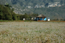 Valle de Vinales_019