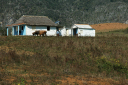 Valle de Vinales_028