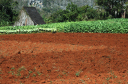 Valle de Vinales_039