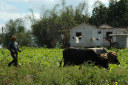Valle de Vinales_053