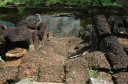 AngkorThom-026