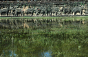 AngkorThom-037