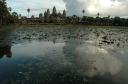 AngkorWat072