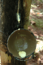 NachKampongThom012