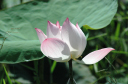 NachKampongThom044