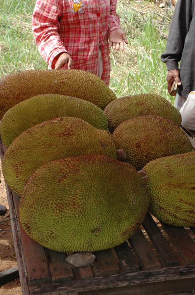 NachPhnomPenh003