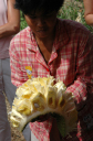 NachPhnomPenh011