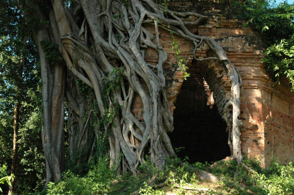 NachSiemReap014