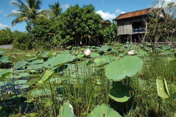 NachSiemReap024