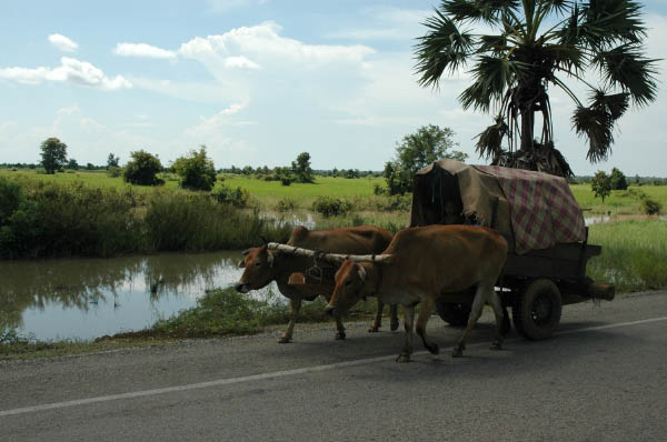 NachSiemReap039