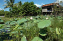 NachSiemReap024