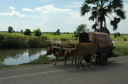 NachSiemReap039