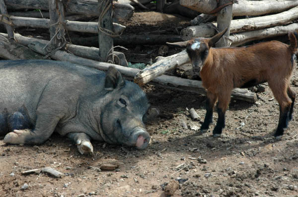 NachVangVieng032