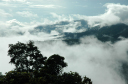 NachVangVieng003