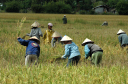 NachVientiane024