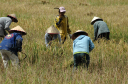 NachVientiane027