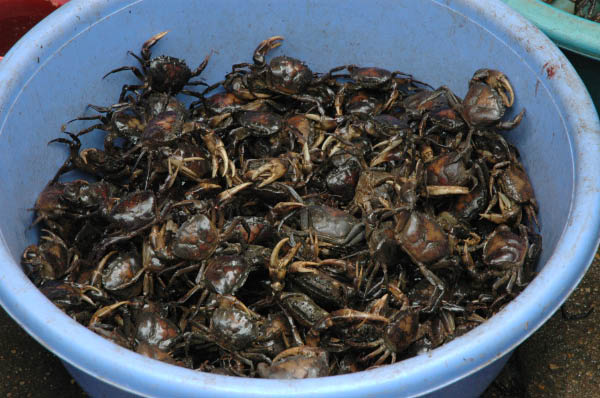 PhnomPenh074