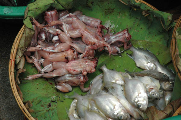 PhnomPenh075