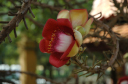 PhnomPenh060