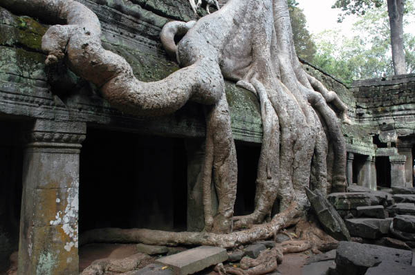 TaProhm053