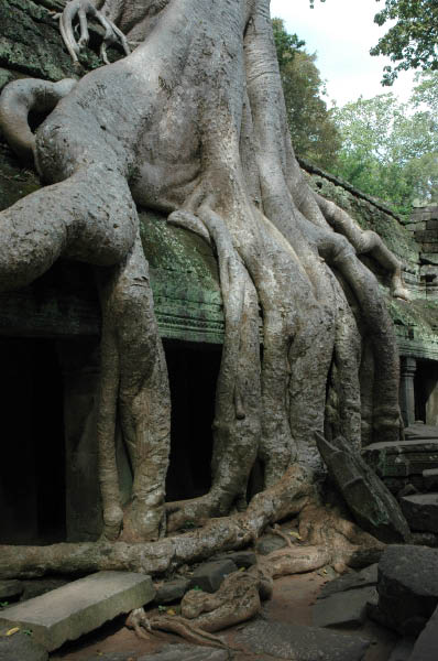 TaProhm054