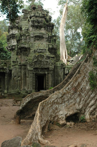 TaProhm063