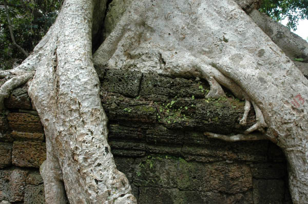 TaProhm068