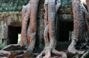 TaProhm005