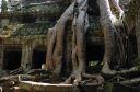 TaProhm006