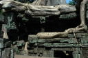 TaProhm016