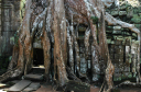 TaProhm019