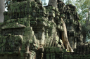 TaProhm031