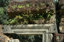 TaProhm046