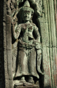 TaProhm049