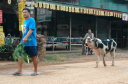 VangVieng041