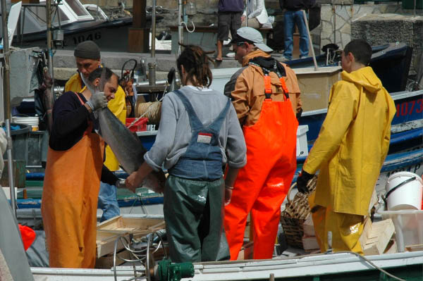 Camogli046