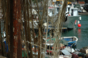 Camogli043