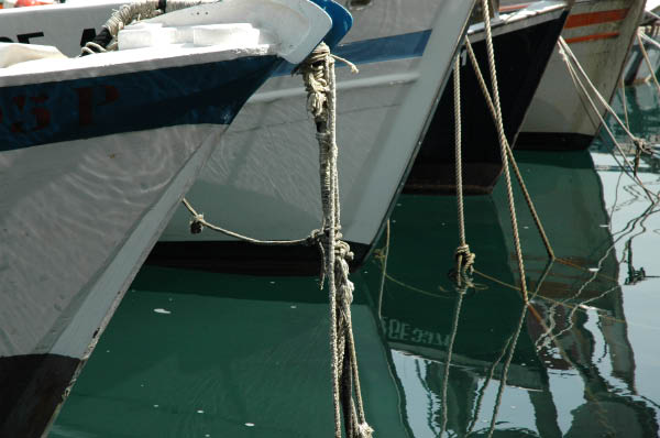 SantaMargheritaLigure146