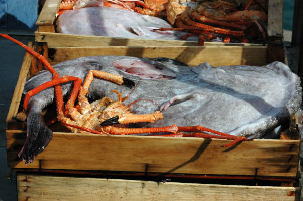 SantaMargheritaLigure182