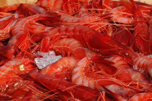 SantaMargheritaLigure184